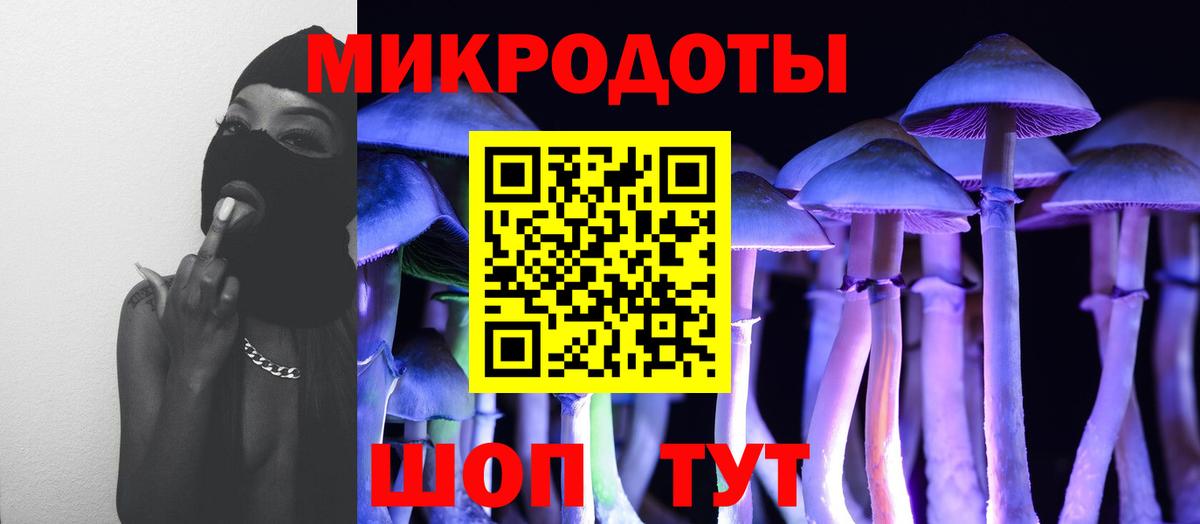 Галлюциногенные грибы прущие грибы Трёхгорный